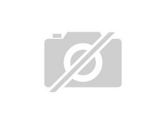 Havapoo Havaneser x Toypudel Welpe Rüde geb 14. 6. 23 abzugeben